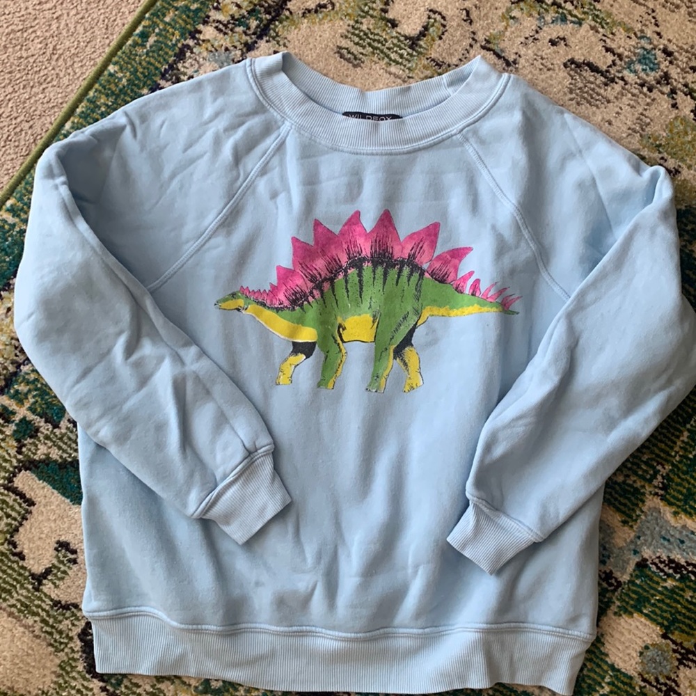Wildfox Stegosaurus sweatshirt